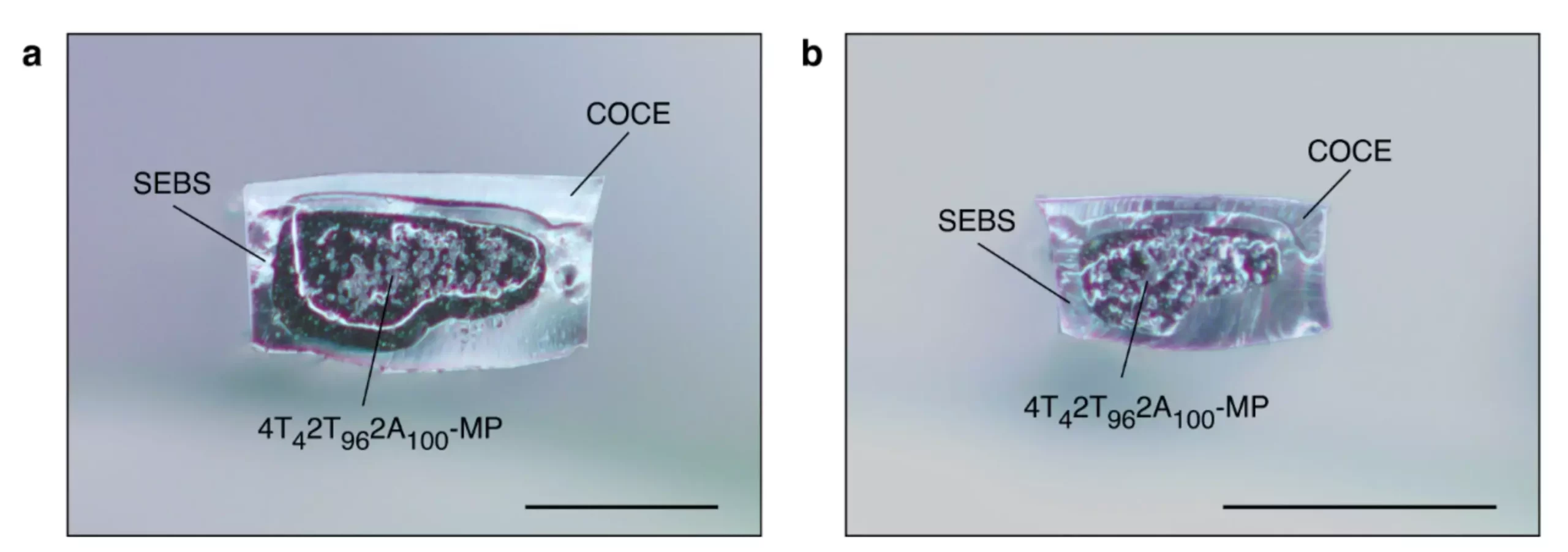 MIT Develops Magnetic Soft Robots for Biomedical and Engineering Applications