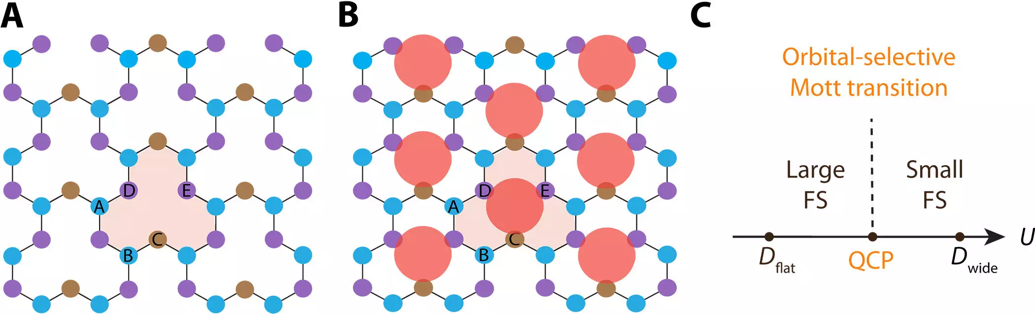 The Intersection of Topological States and Quantum Materials