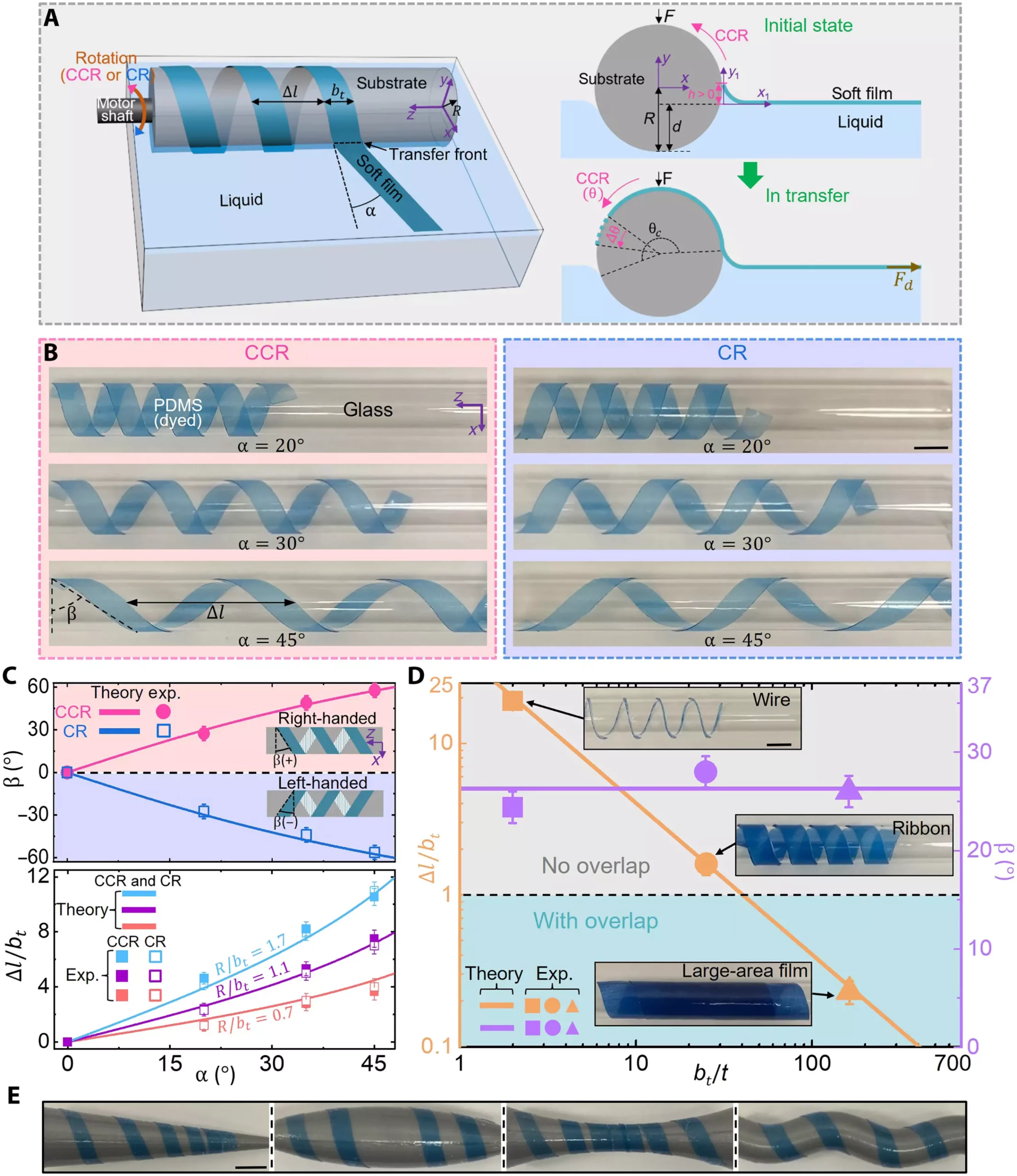 Advancements in Soft Robotics Could Revolutionize the Field