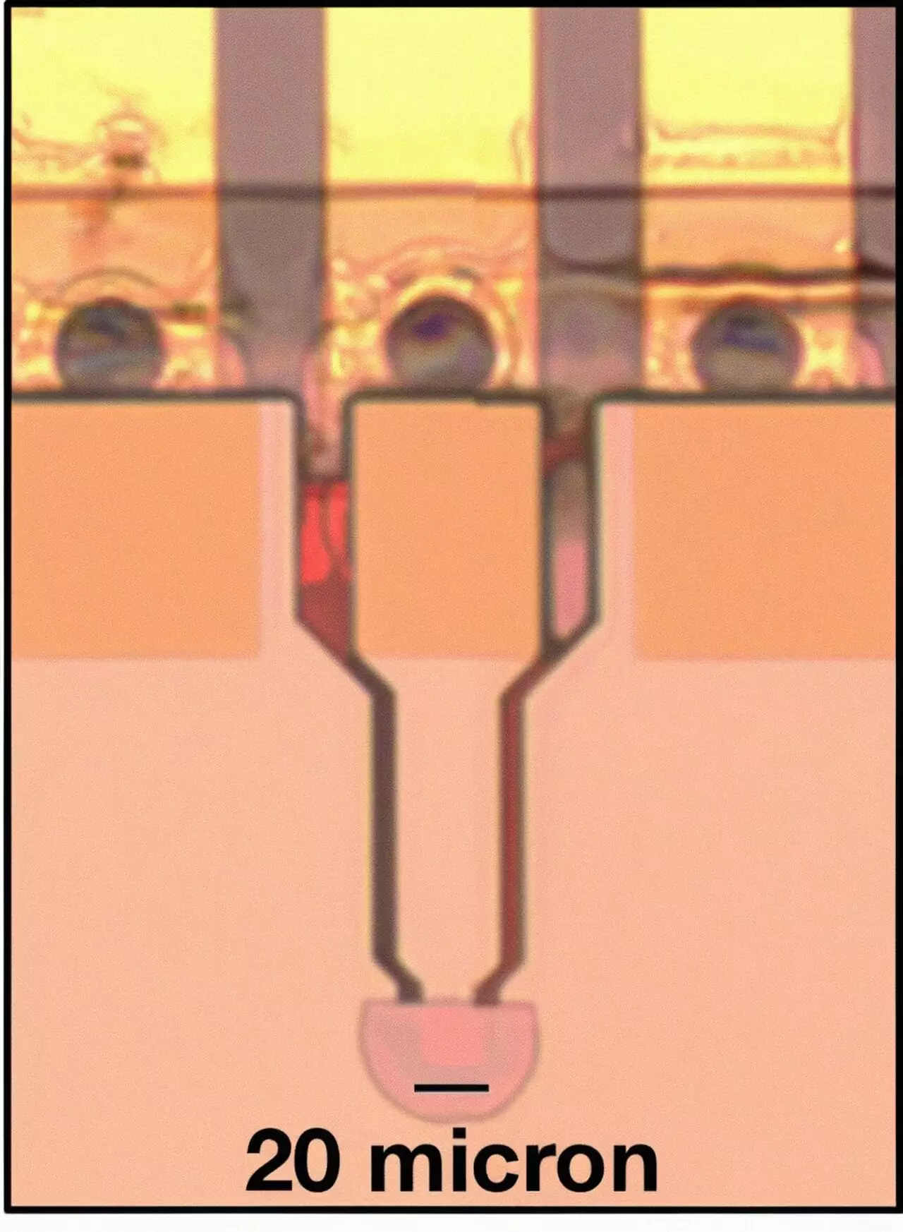 Revolutionizing Optical Neural Networks with Surface Normal Nonlinear Photodetectors