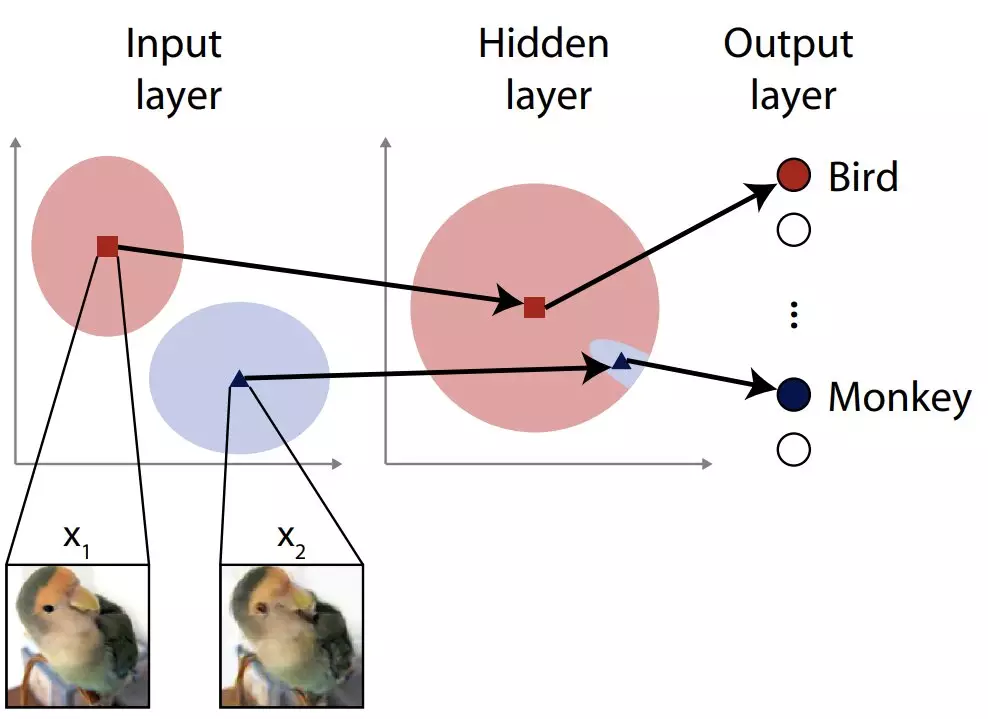 The Importance of Enhancing Resilience in Artificial Neural Networks