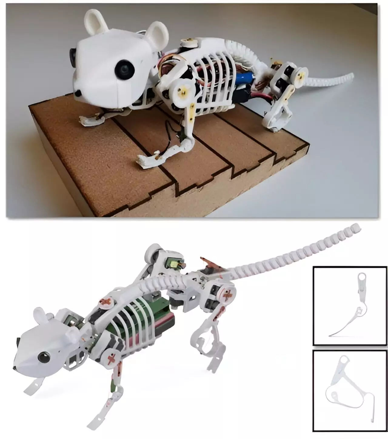 The Advantages of a Flexible Spine for Quadruped Robots