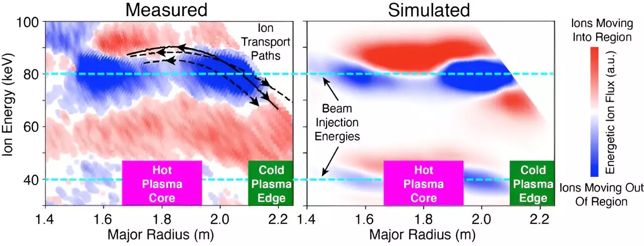 Analyzing the Interplay Between Plasma Waves and Energetic Ions in Fusion Plasmas