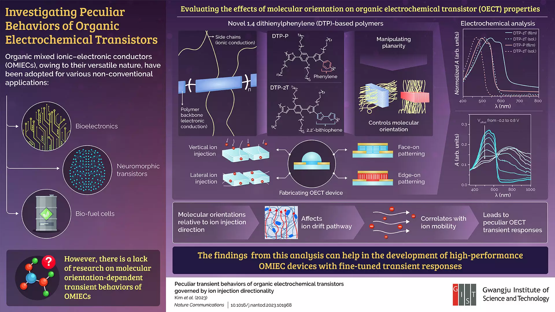 Analyzing the Transient Behaviors of Organic Mixed Ionic-Electronic Conductors