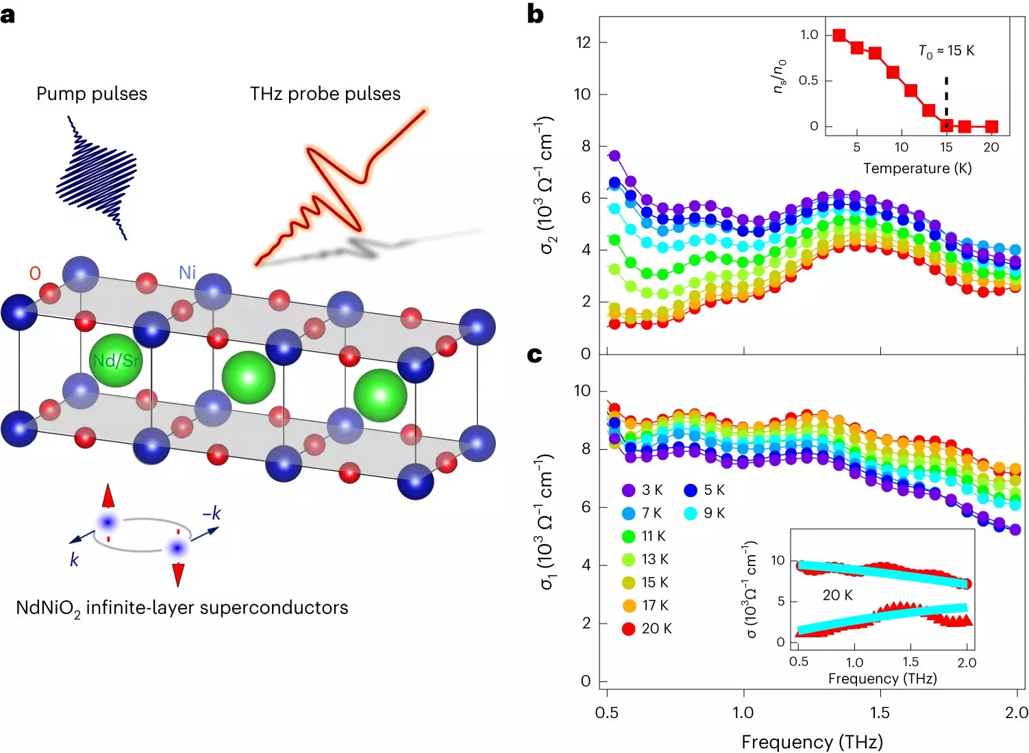 The Fascinating World of Infinite-Layer Nickelates: Unlocking the Secrets of Unconventional Superconductors
