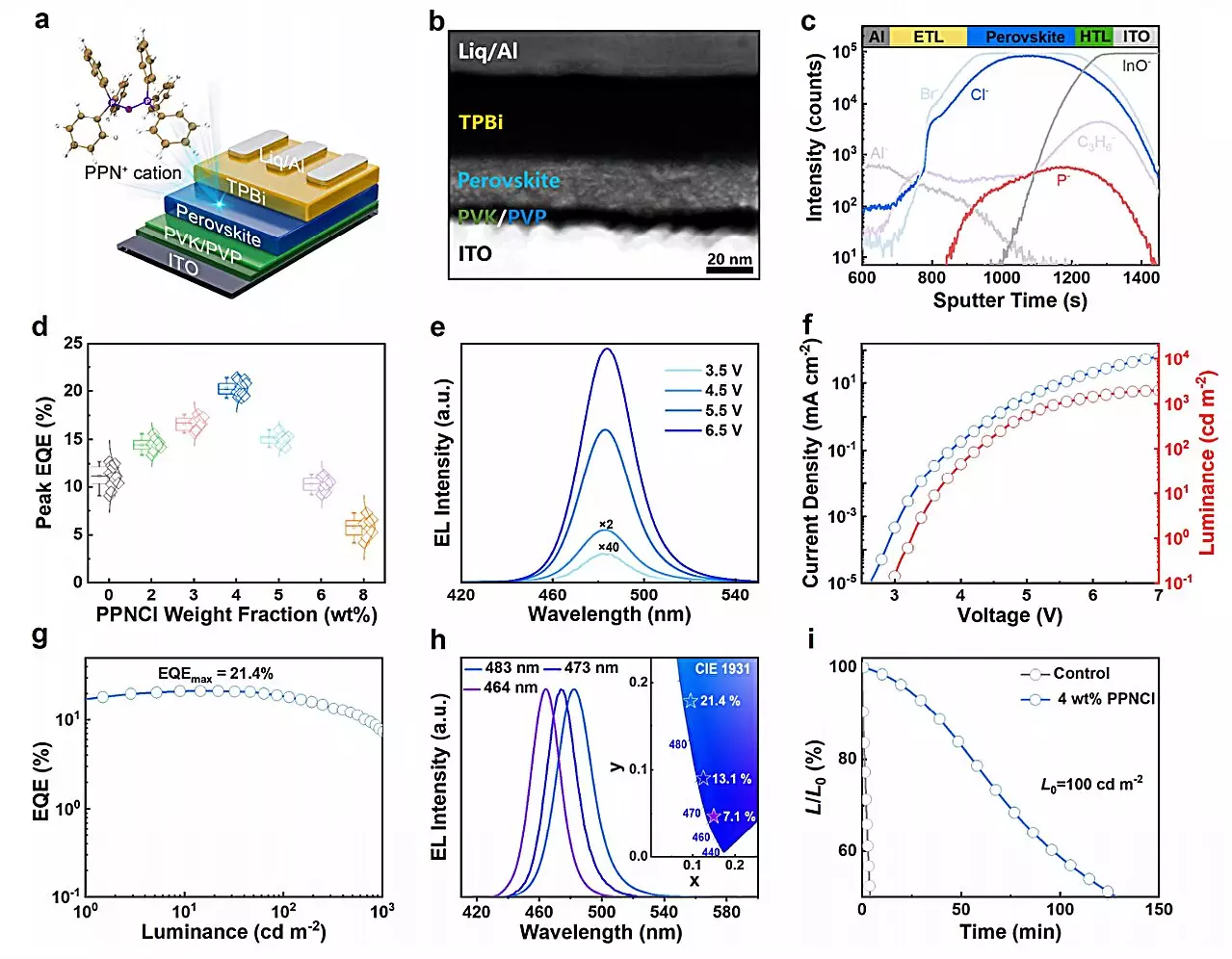 Enhancing Blue Perovskite LED Performance with Novel Ionic Additive