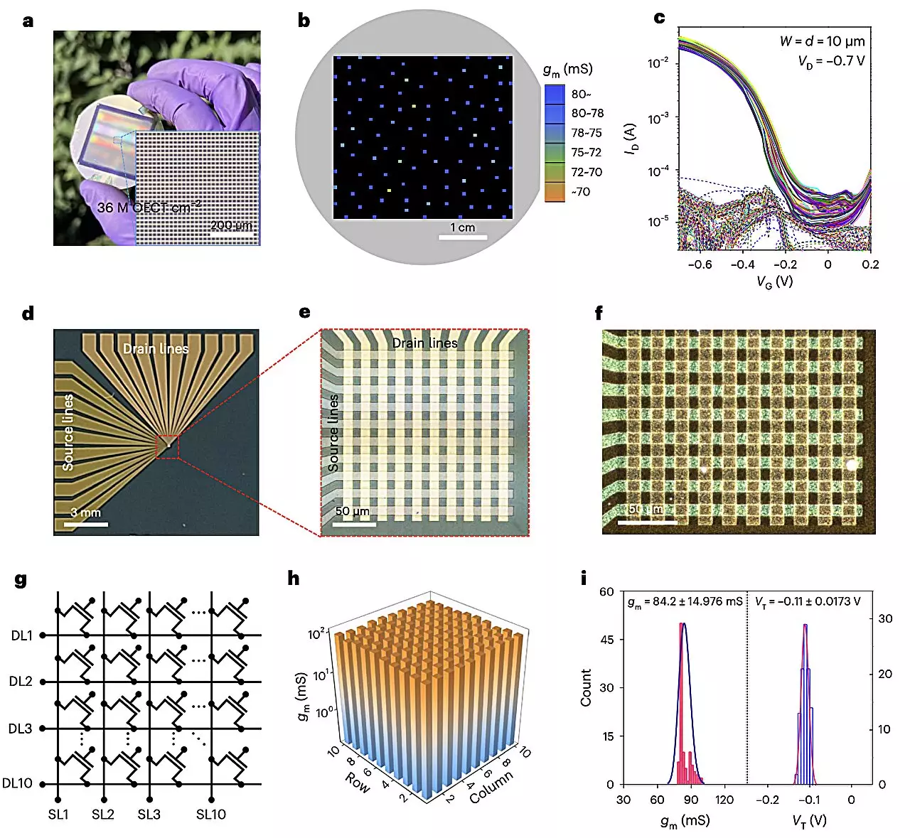 Revolutionizing Organic Electrochemical Transistors with E-Beam ...