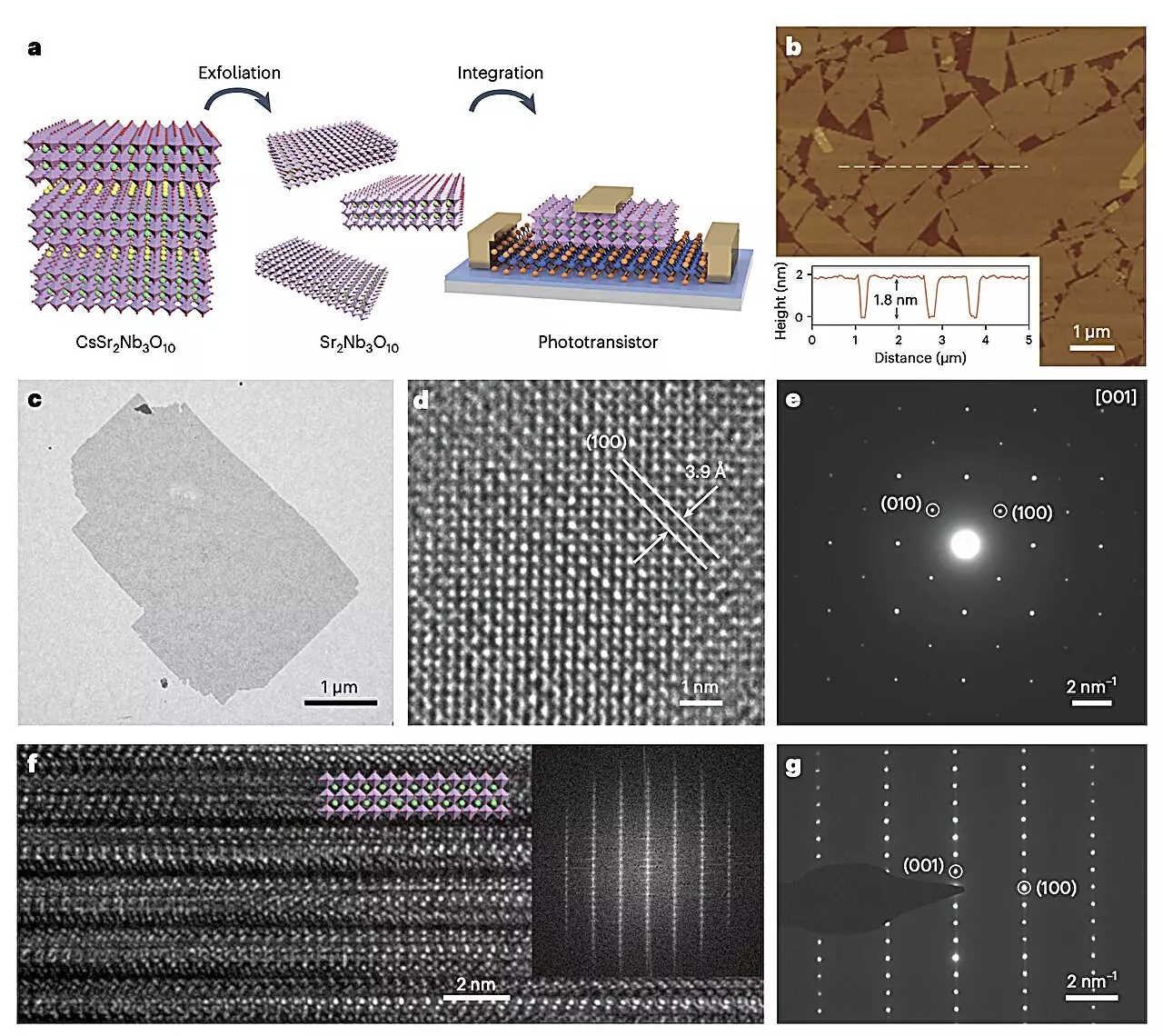The Future of Miniaturized Optoelectronic Devices with 2D Perovskite Oxides