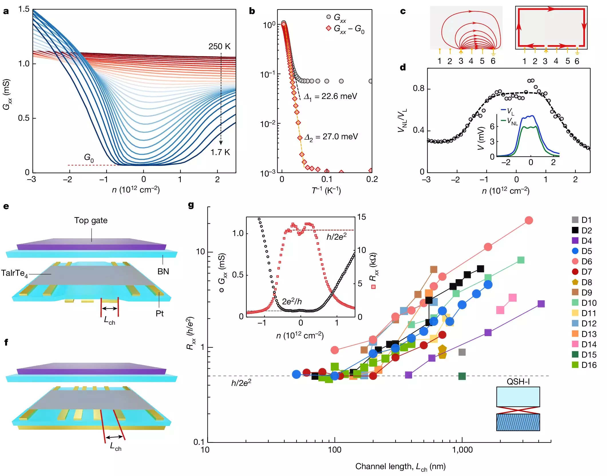 Exploring Dual Topological Phases in Quantum Materials