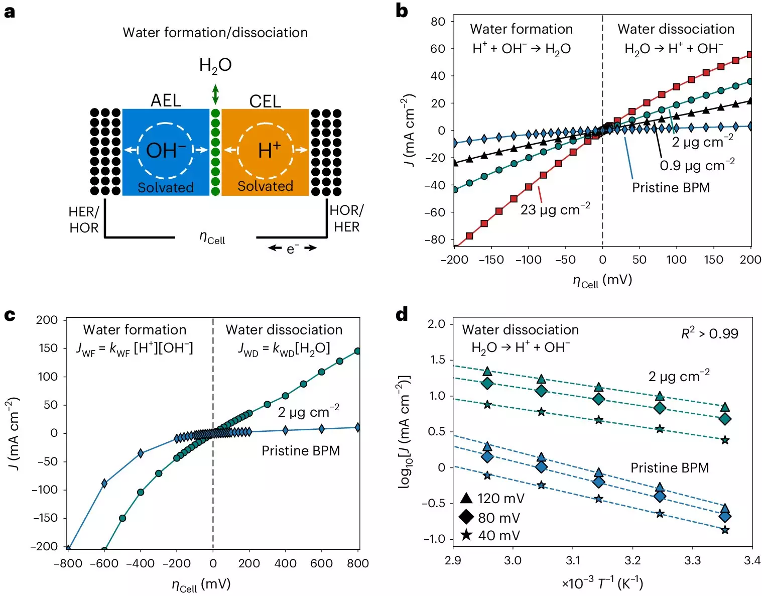 The Fundamental Principles of Bipolar Membranes in Energy Technologies