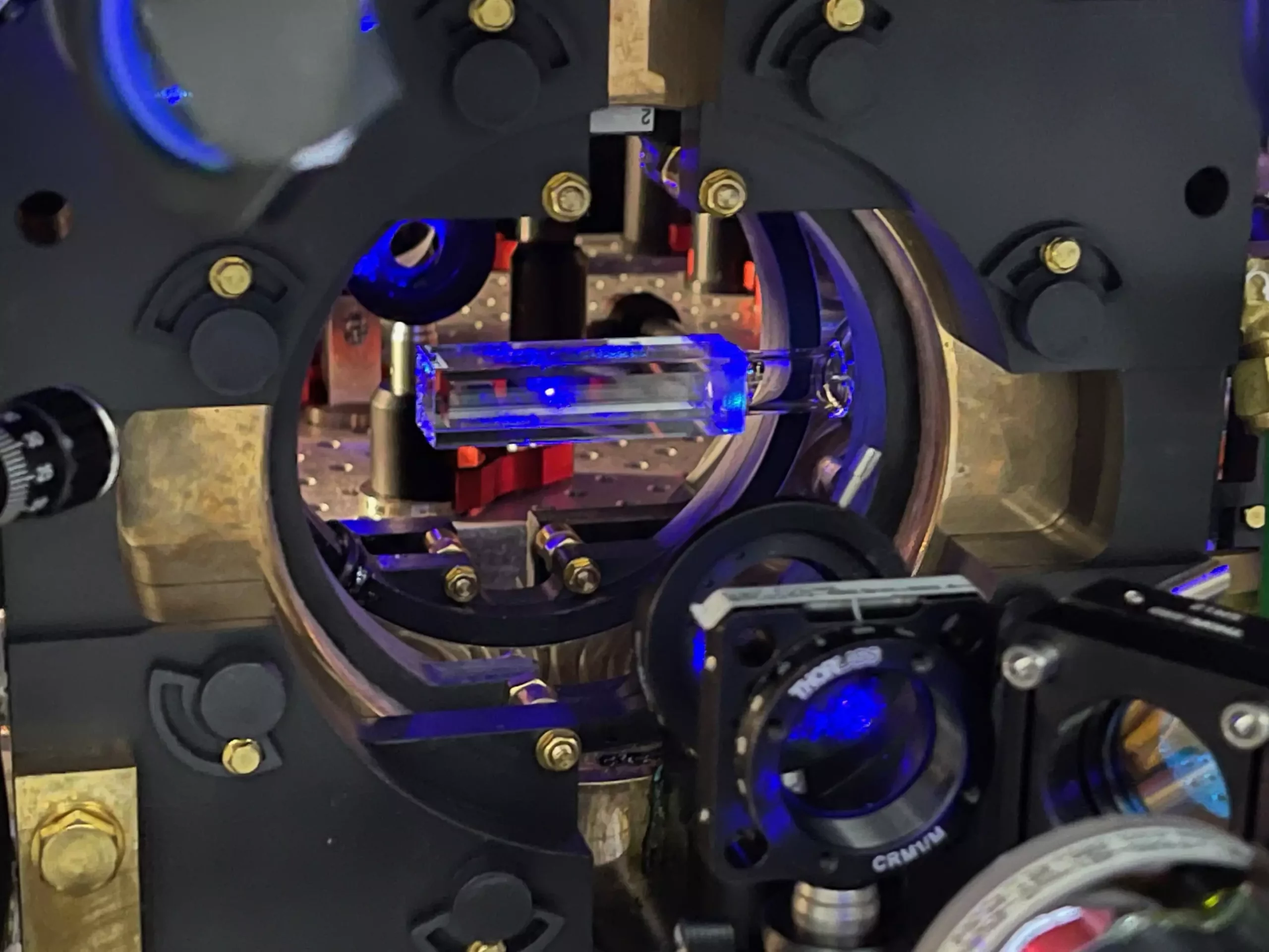 Exploring Quantum Physics with Quantum-Gas Microscopes