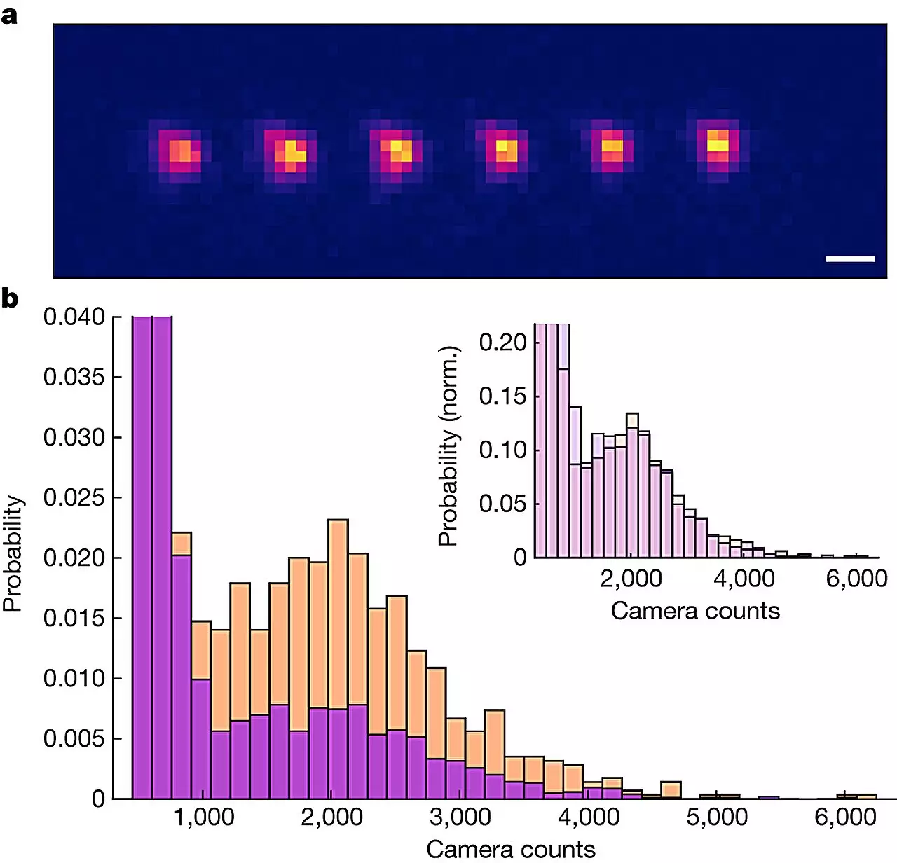 Unlocking the Potential: Trapping Polyatomic Molecules in Optical Tweezers