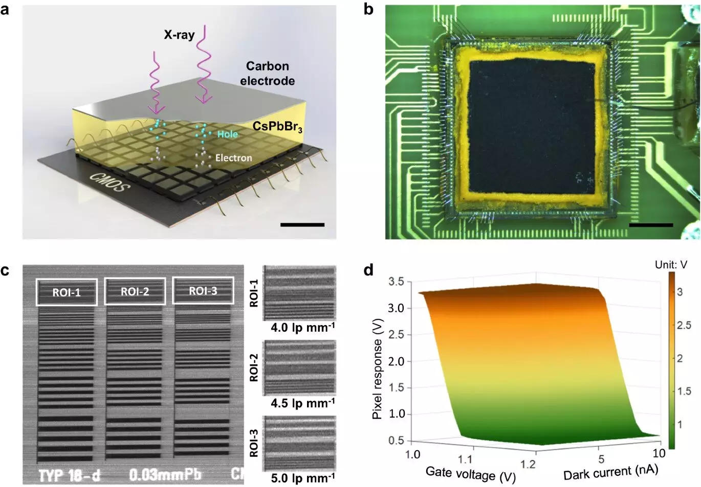 The Future of X-ray Imaging: Perovskite CMOS Detectors Revolutionize Medical Imaging