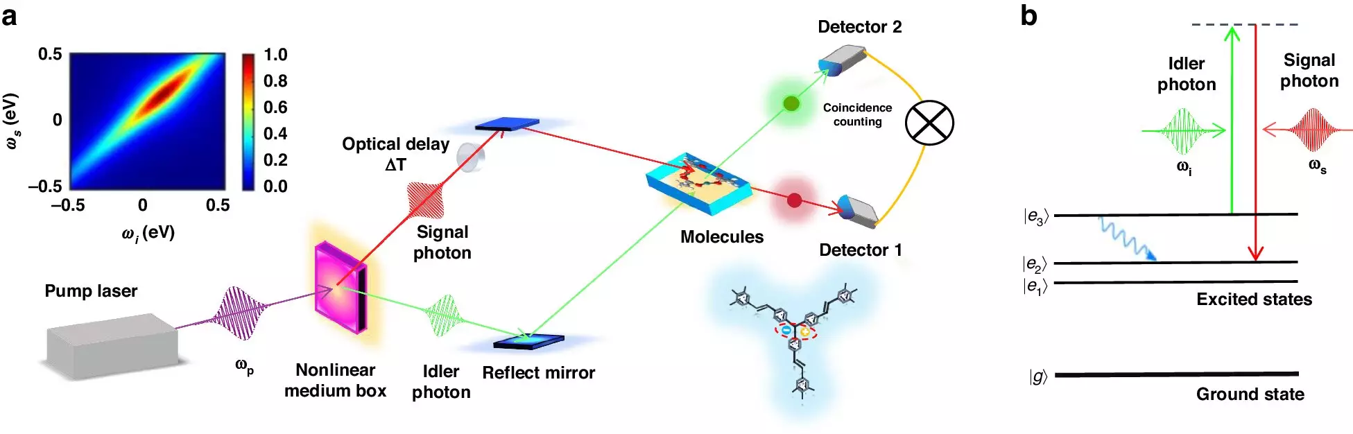 The Fusion of Quantum Entangled Light Sources and Ultrafast Stimulated Raman Spectroscopy