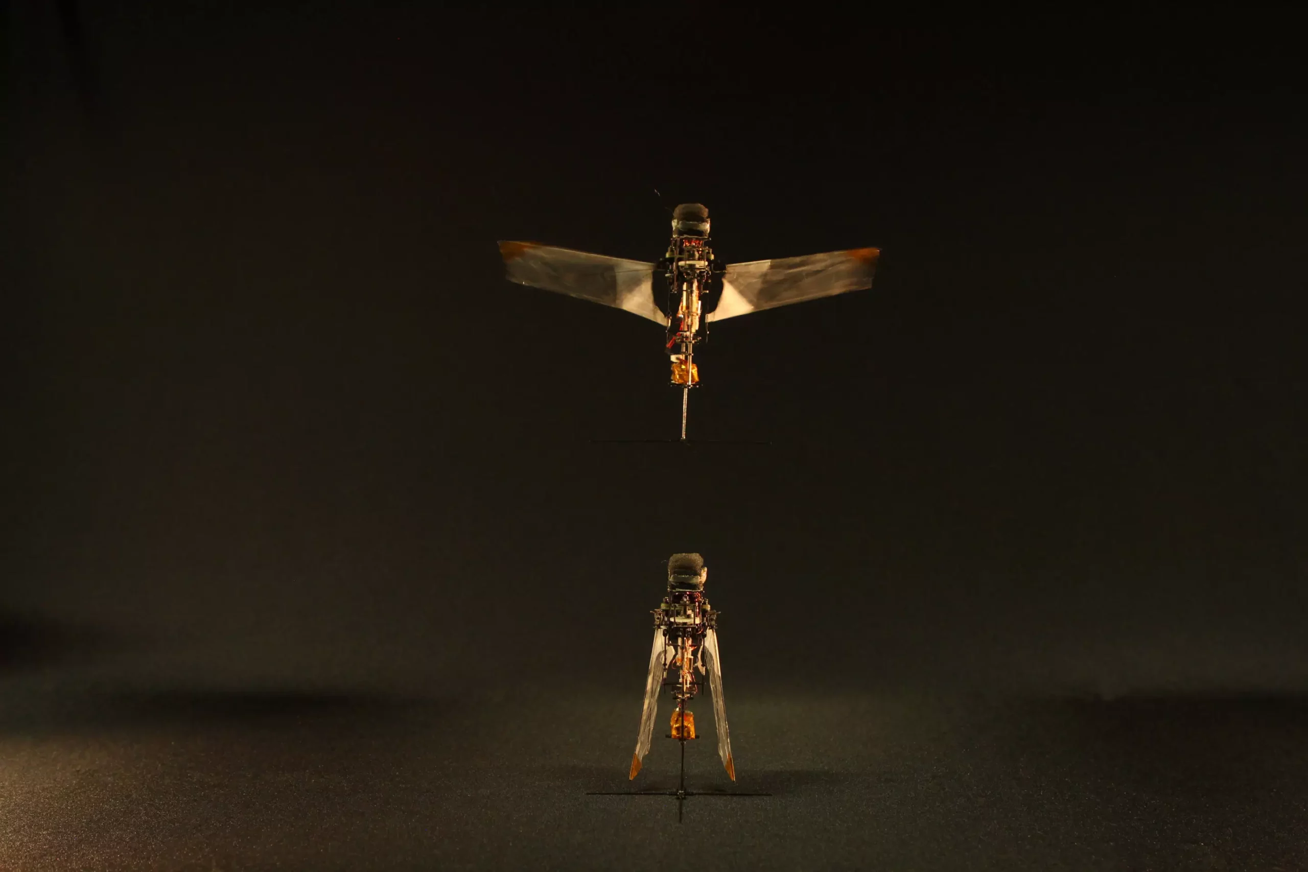 The Passive Wing Deployment Mechanism of Rhinoceros Beetles and Its Application in Flapping Microrobots