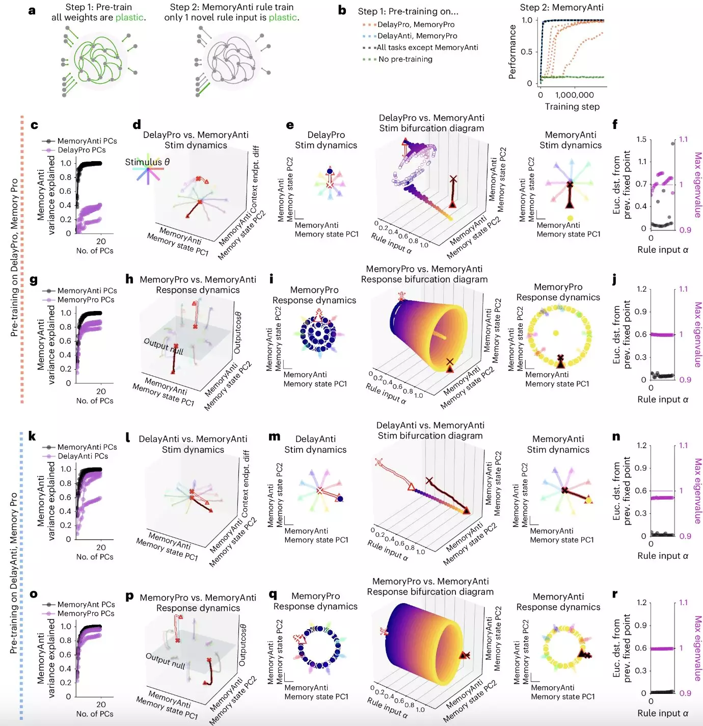 The Role of Dynamical Motifs in Cognitive Flexibility