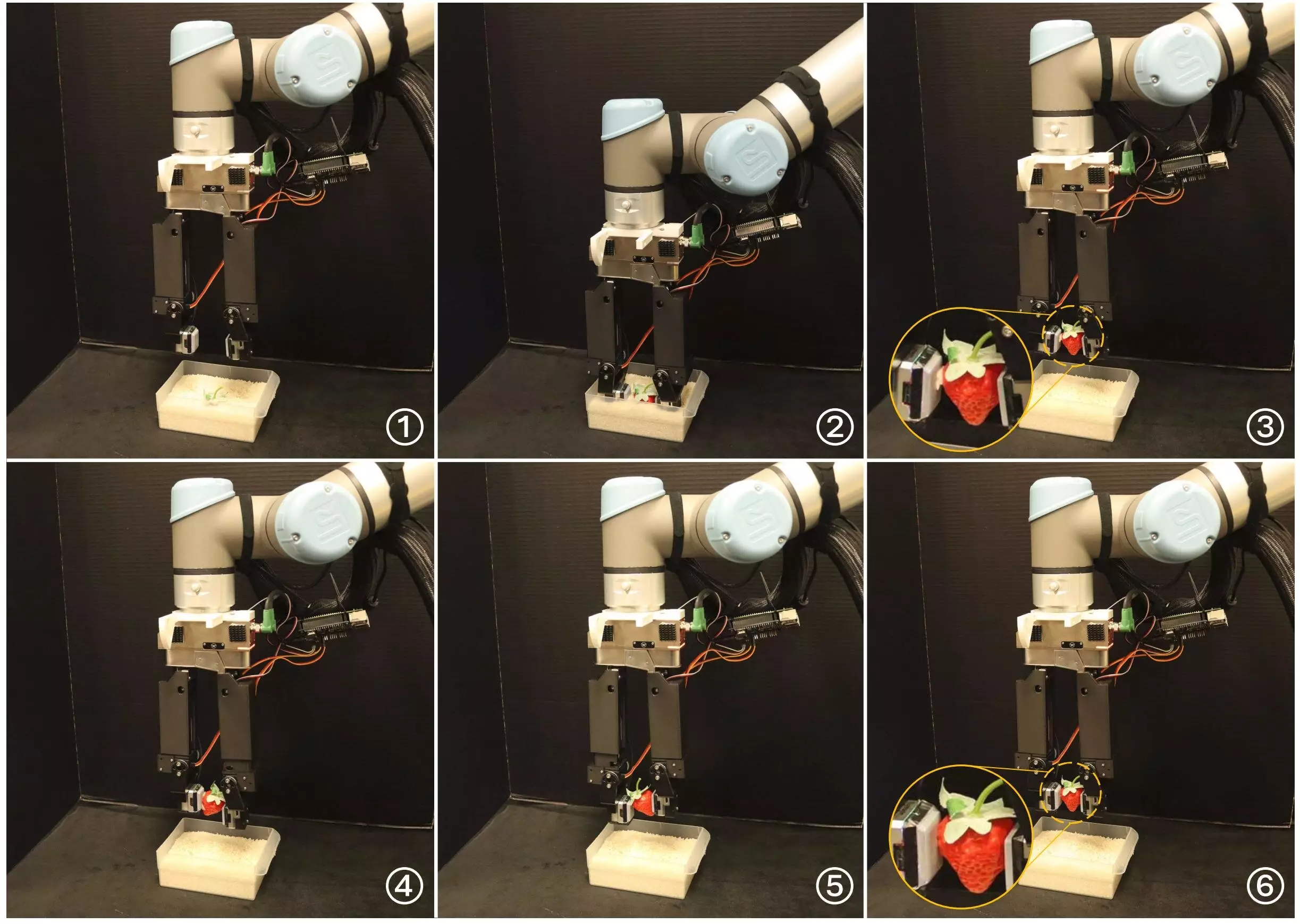 The Future of Robotic Grippers: Bridging the Gap Between Complexity and Efficiency