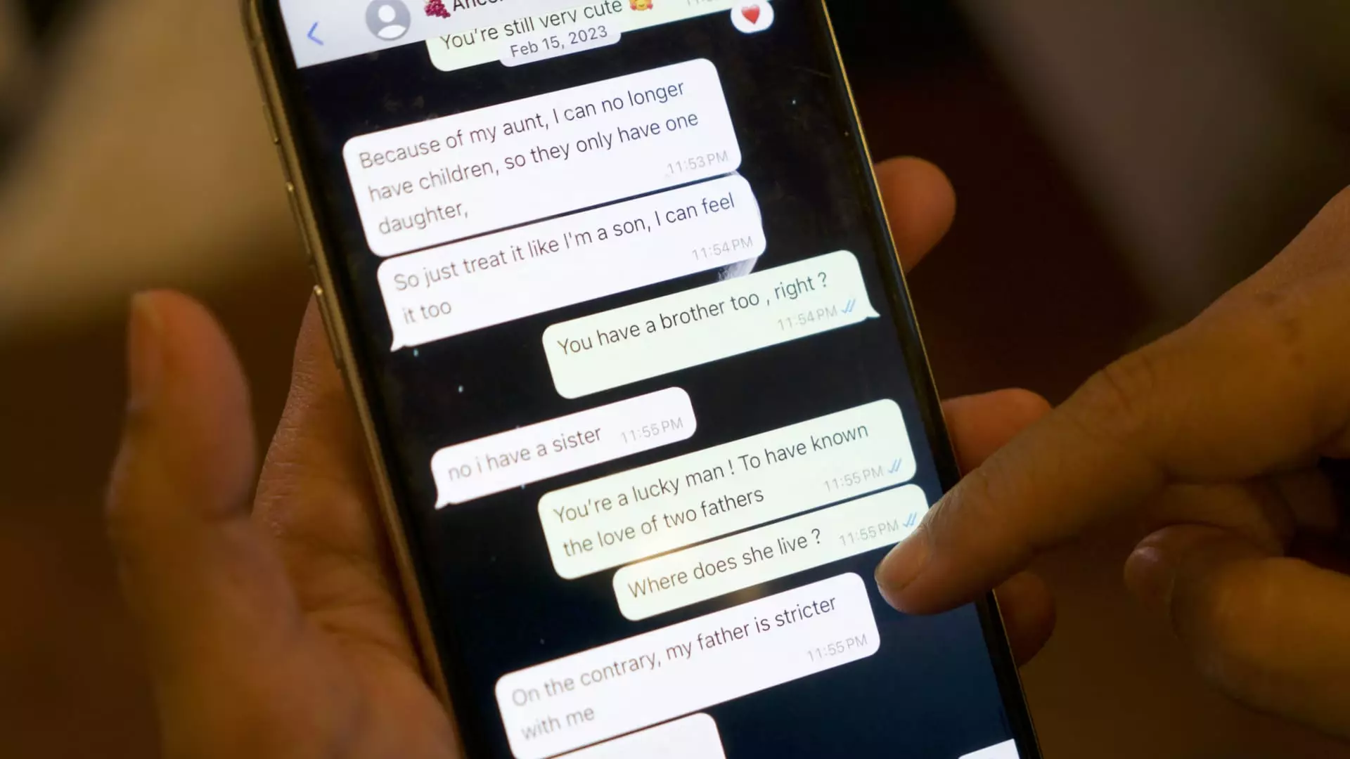 The Rise of Pig Butchering Scams: A Growing Threat to Americans