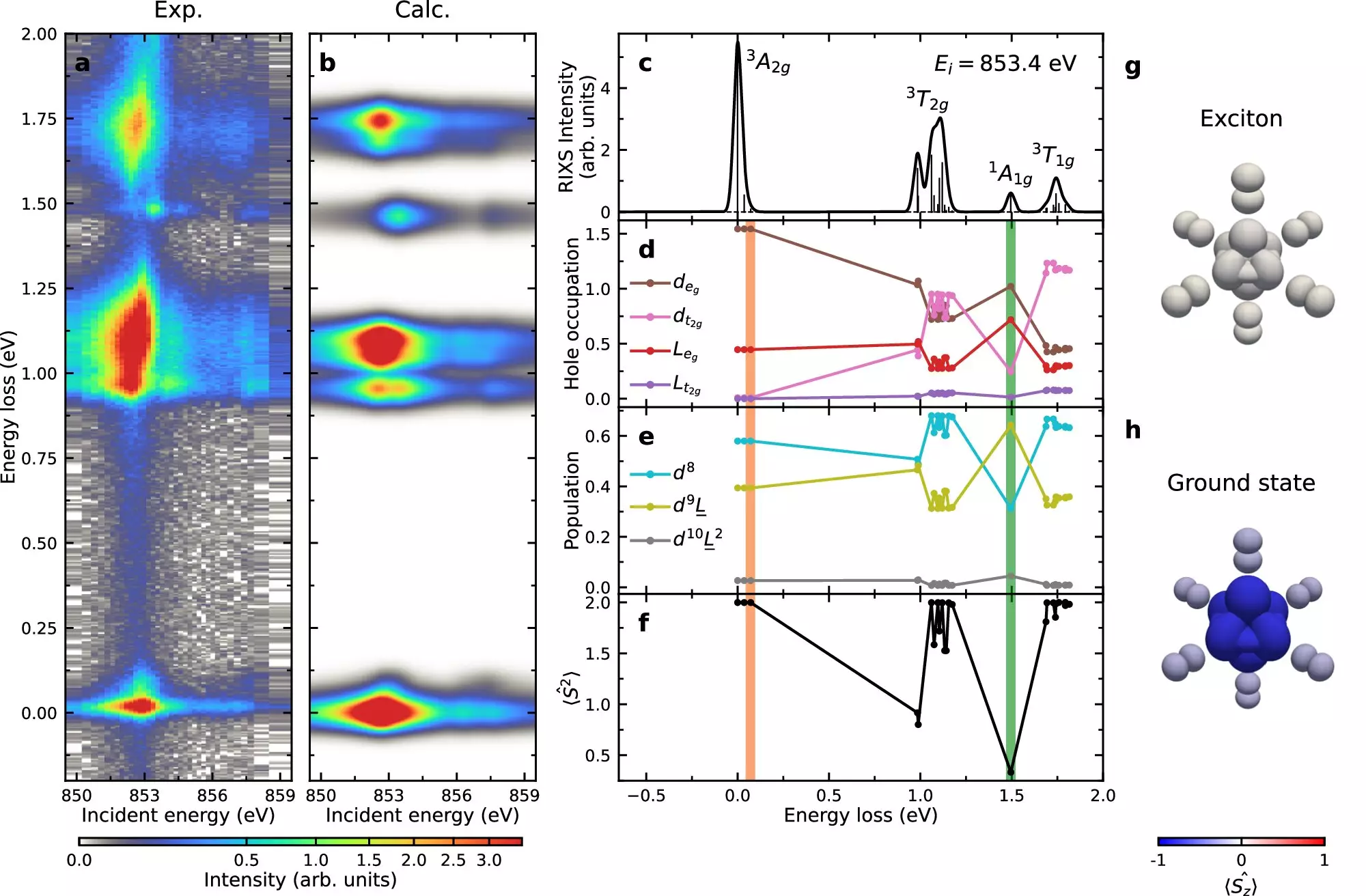 The Complex Relationship Between Excitons and Magnetism in Van Der Waals Magnets