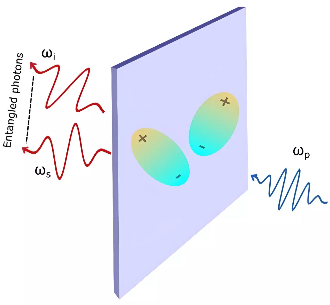 The Impact of Excitonic Interactions on the Efficiency of Generating Entangled Photon Pairs