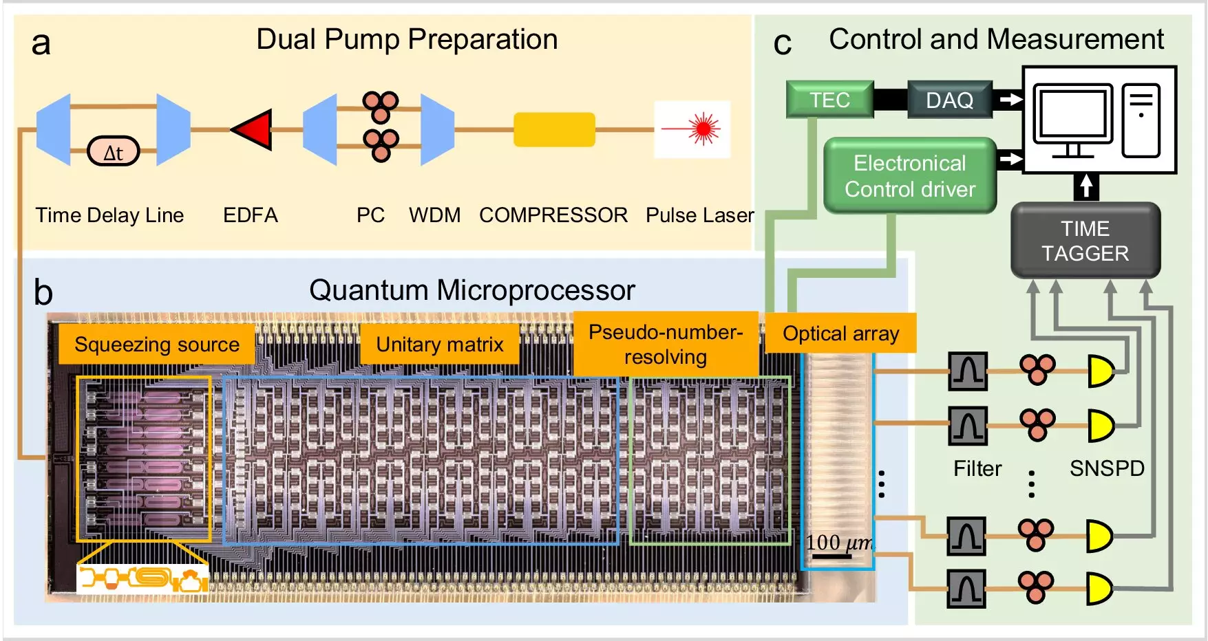 The Revolutionary Impact of Quantum Simulation on Molecular Spectroscopy