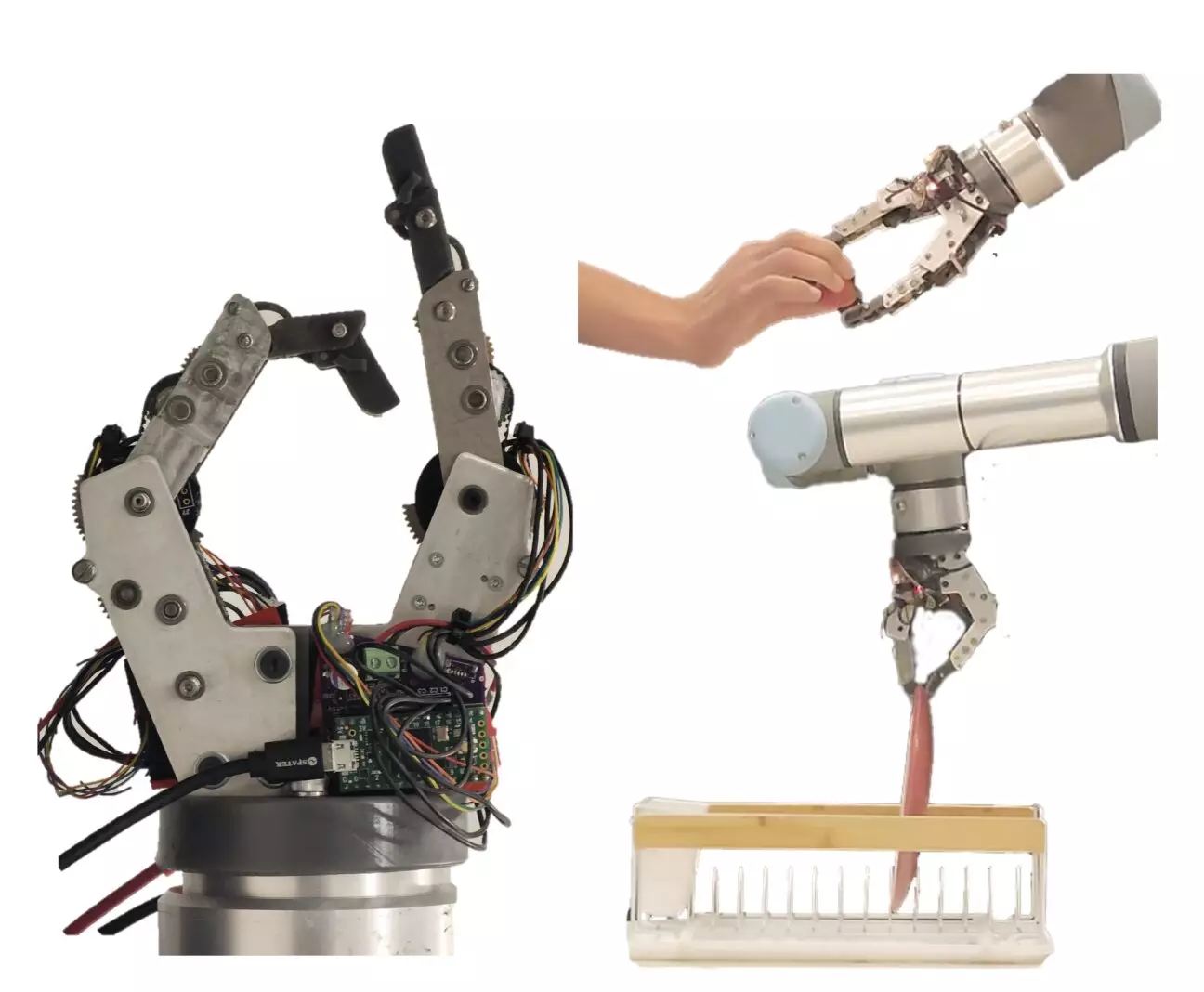 The Future of Robotics: Designing Two-Finger Robotic Grippers for Daily Tasks