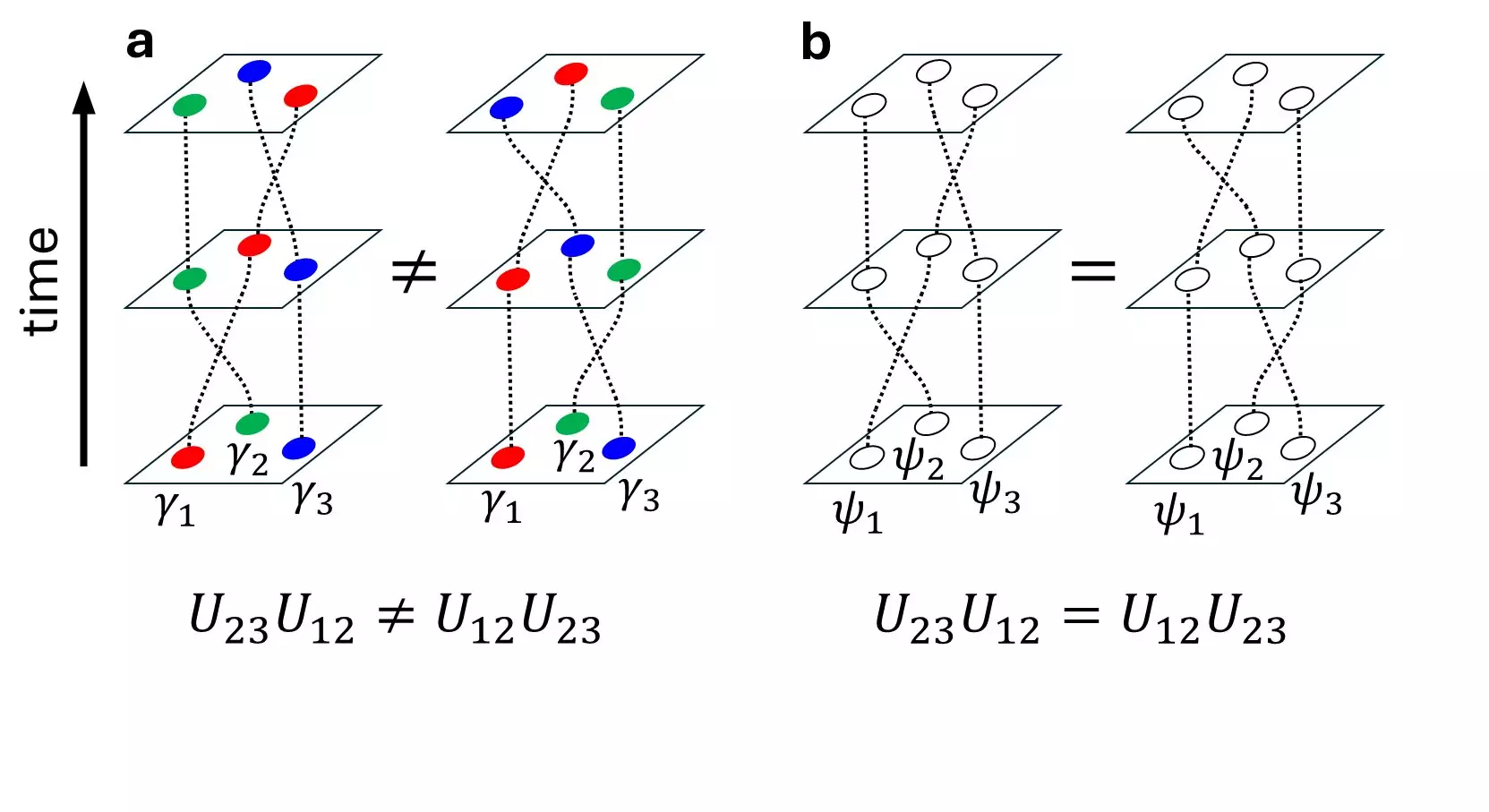 The Groundbreaking Discovery of Multiple Majorana Zero Modes in Superconducting Topological Crystalline Insulators