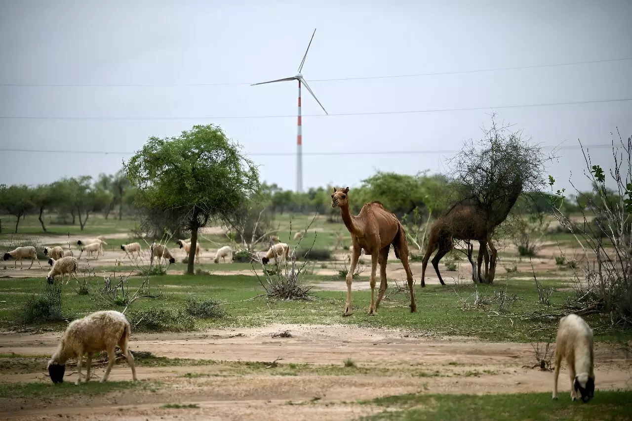 The Impact of Wind Turbines on Rural Communities in India