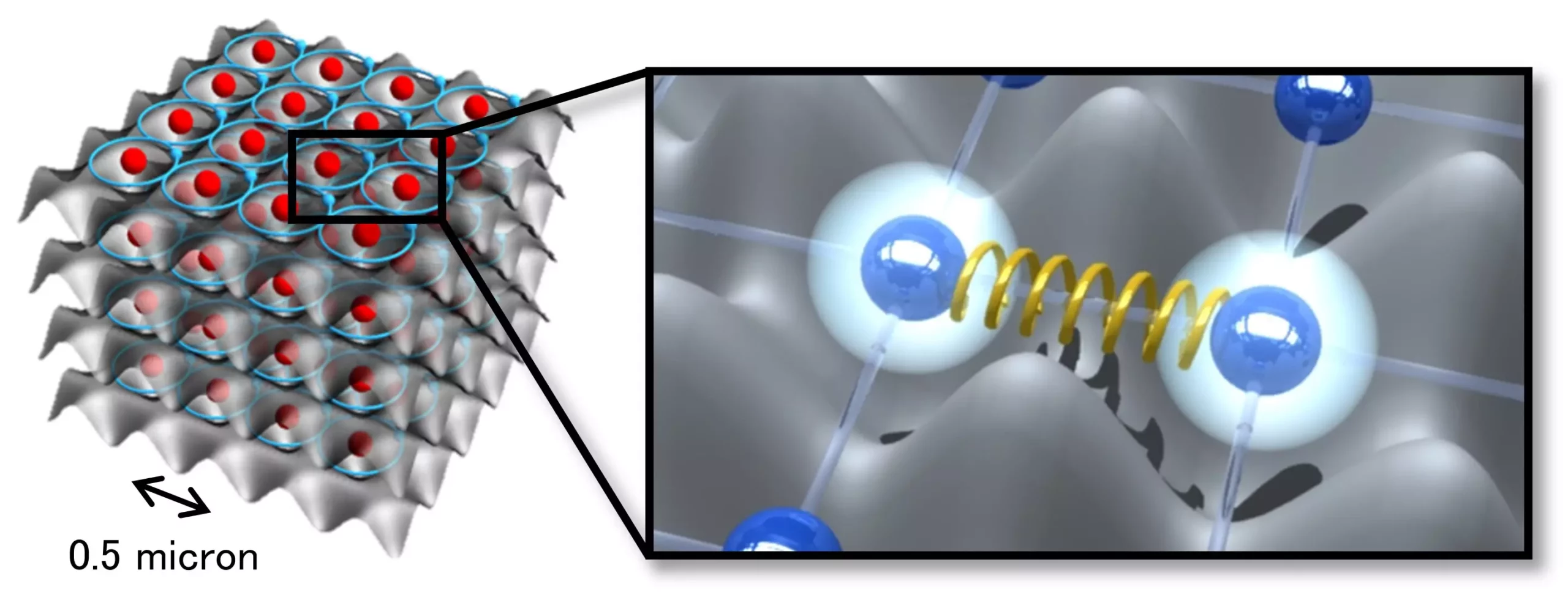 The Role of Repulsive Forces in Quantum Entanglement