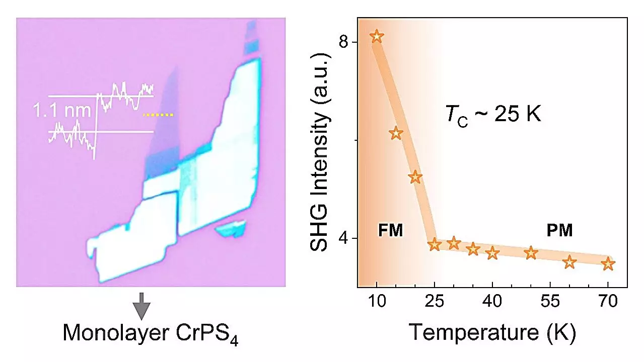 The Significance of Second Harmonic Generation in Two-Dimensional Magnetism