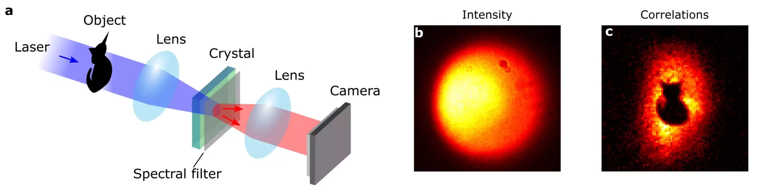 La Méthode Révolutionnaire de Cacher des Images par l’Optique Quantique