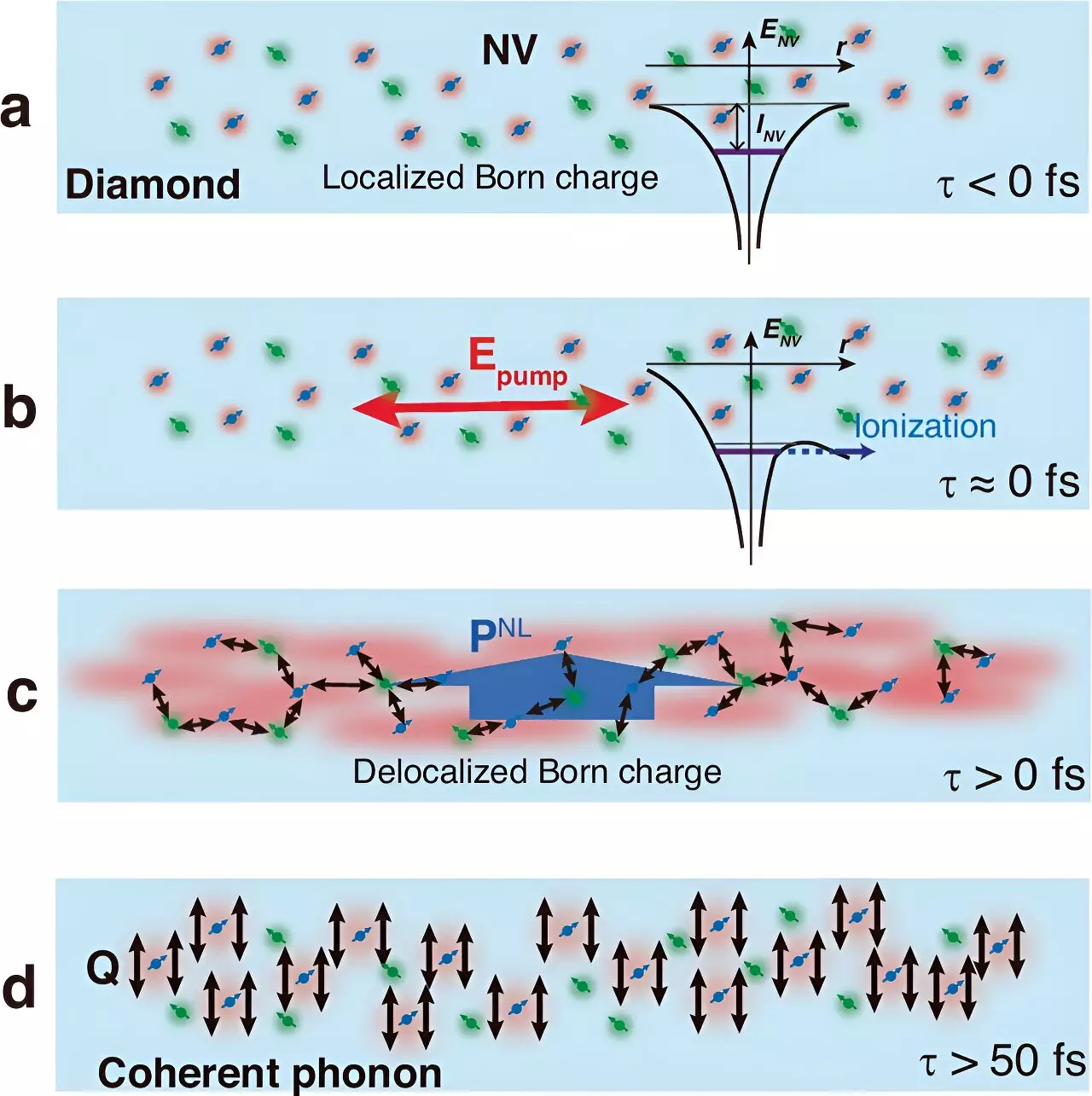 Exploring Polaron Quasiparticles: A Breakthrough in Diamond Quantum Sensing