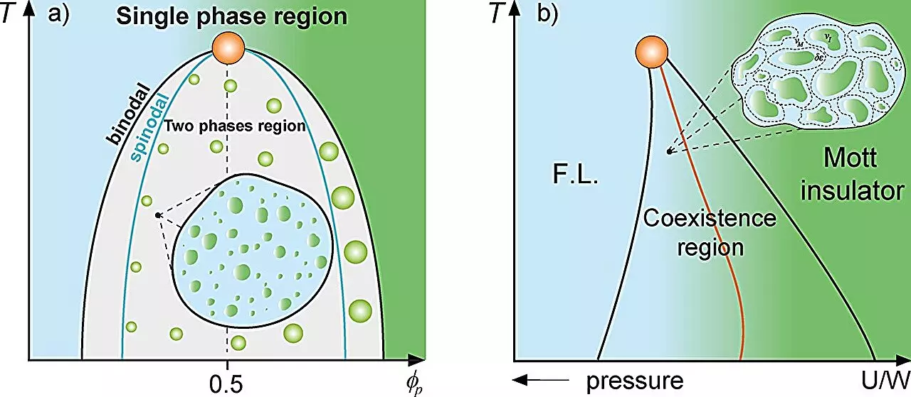 The Complex Interplay of Protein Dynamics and Cellular Compartmentalization: A New Perspective