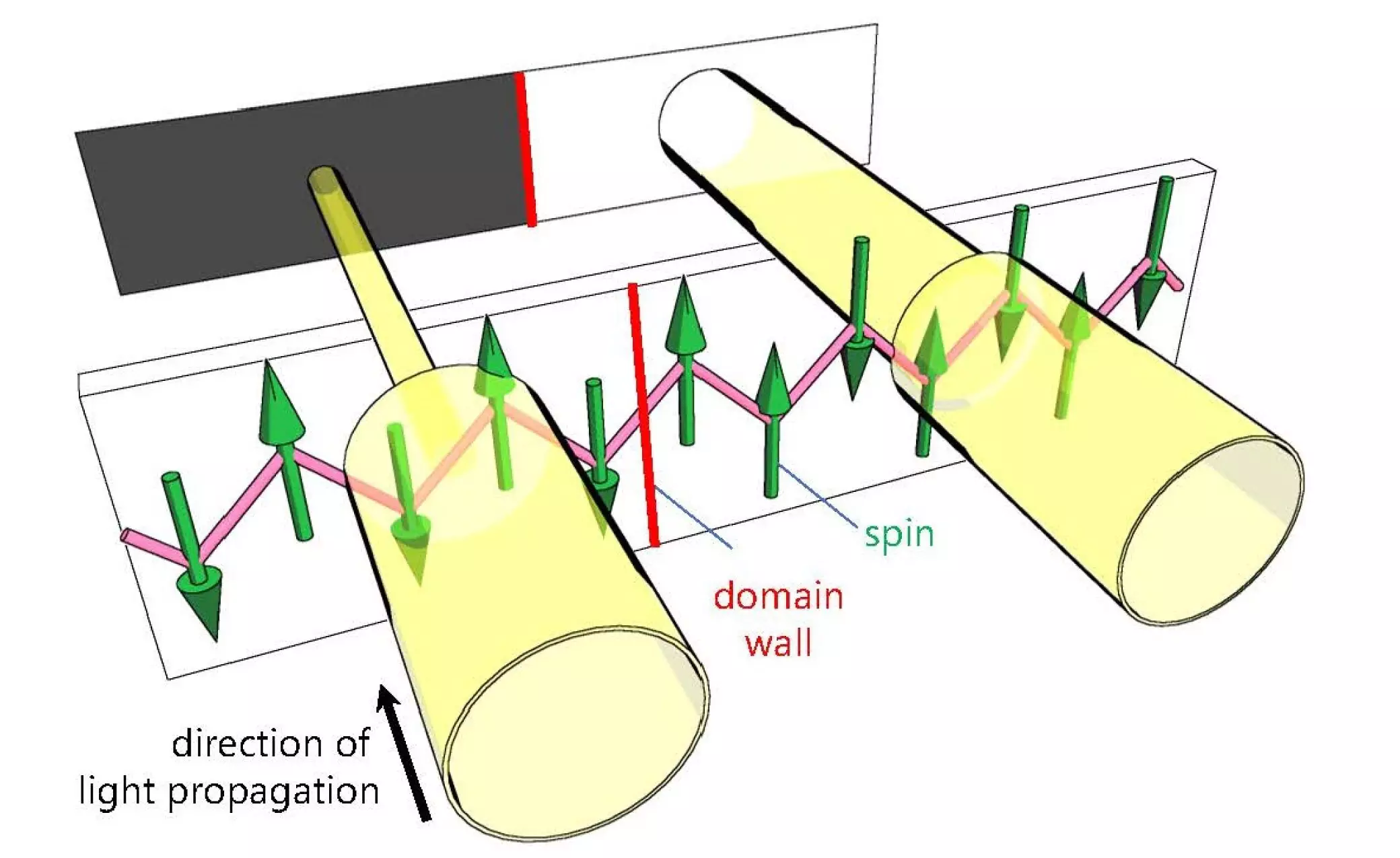 Illuminating the Quantum Frontier: New Insights into Antiferromagnetic Materials