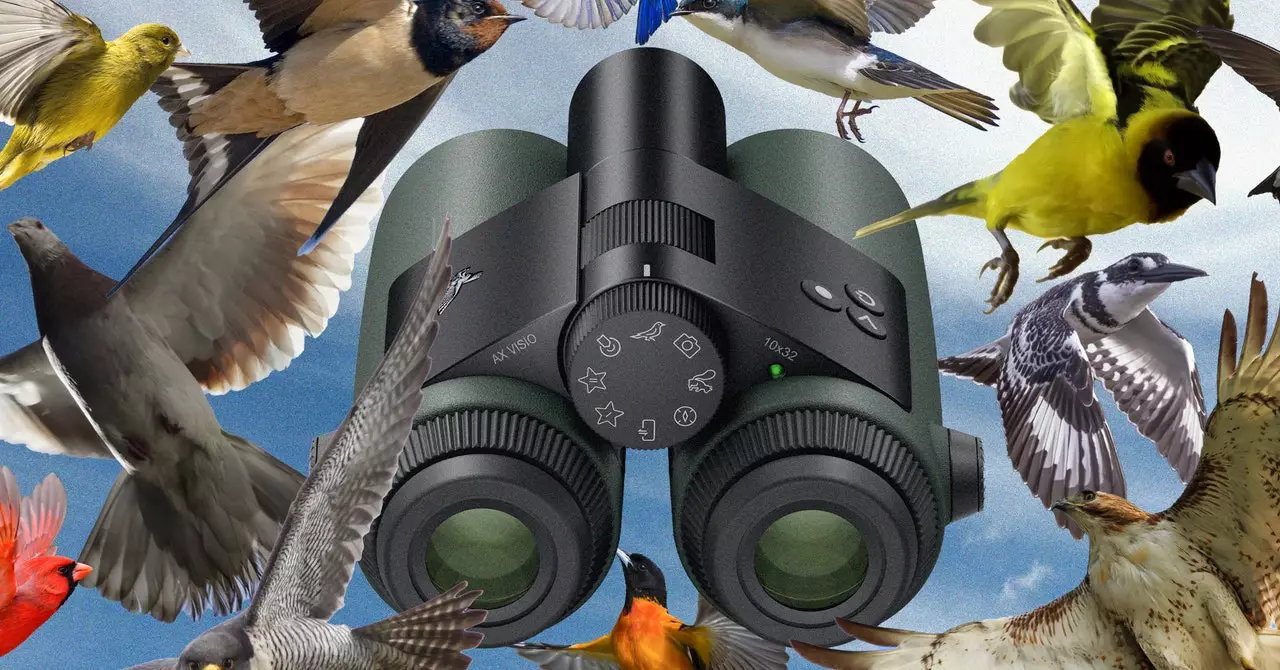 Exploring Advanced Bird Identification with AX Visio Binoculars