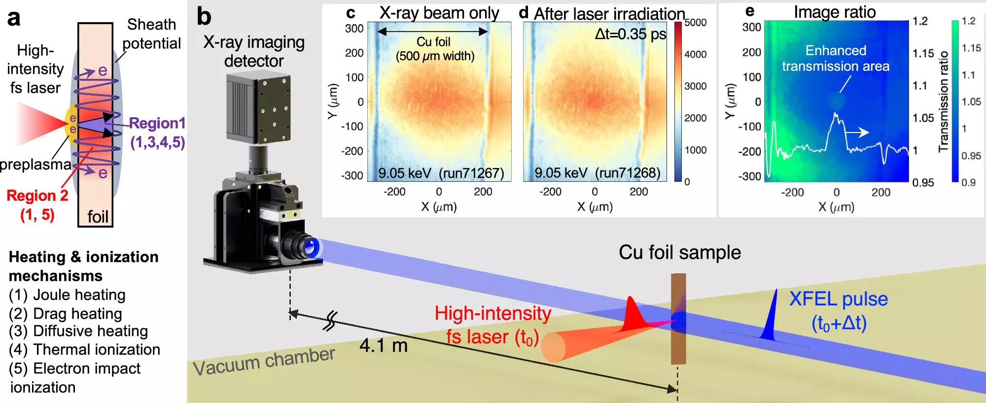 Revolutionizing Plasma Physics: Laser-Induced Warm Dense Matter Observed in Copper