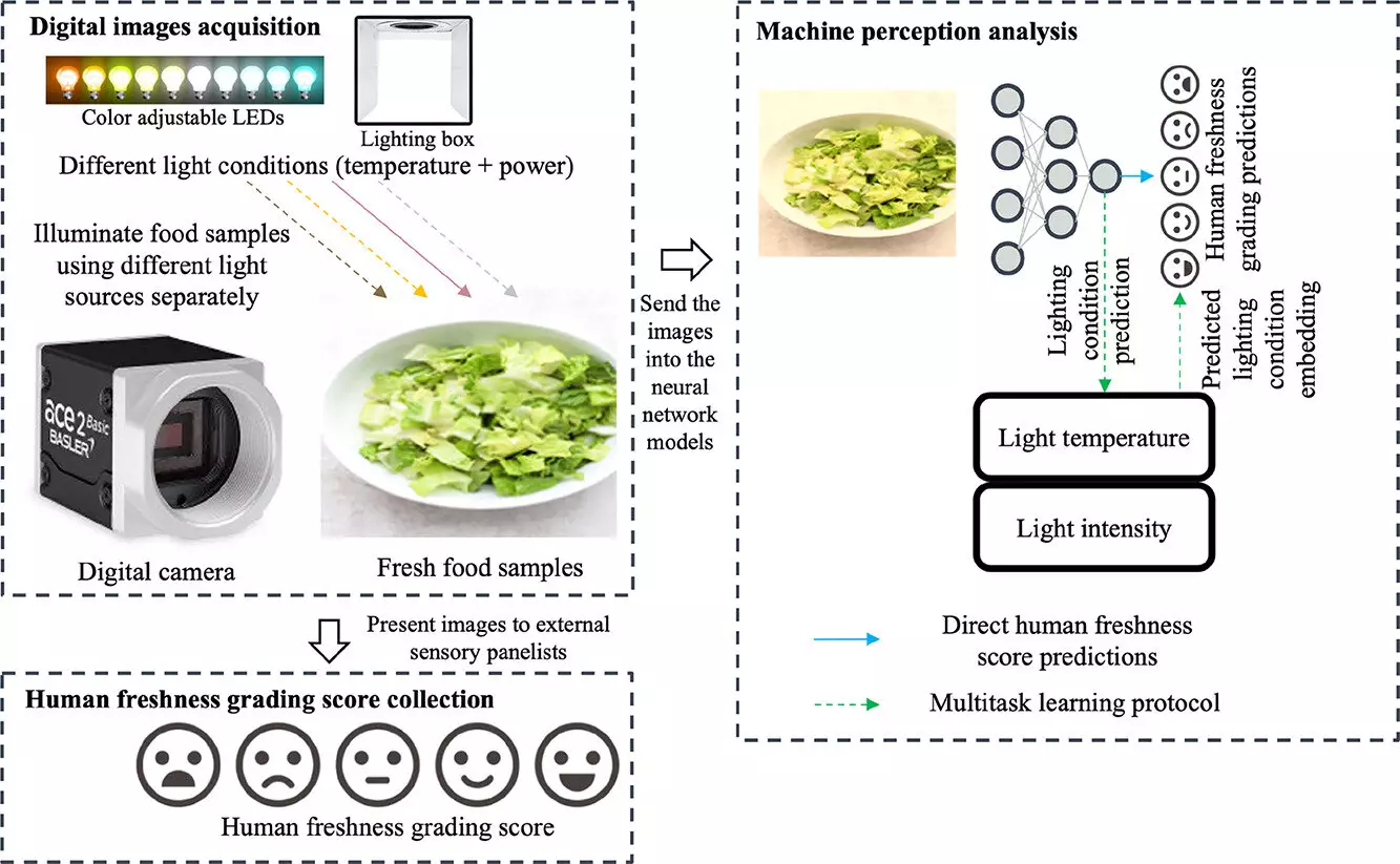 Revolutionizing Food Quality Assessment: The Intersection of Human Perception and Machine Learning